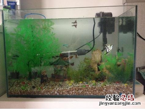 鱼缸恒温器什么牌子好 鱼缸恒温器怎么选