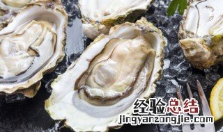 酱焖生蚝的制作方法窍门 酱焖生蚝的制作方法