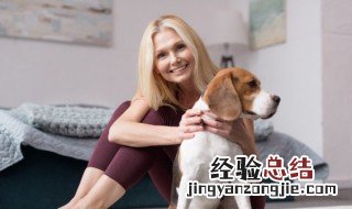 宠物美容师证怎么考临沂有培训机构吗? 宠物美容师证怎么考