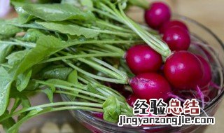 萝卜缨子怎么腌制 辣萝卜缨子怎么做好吃