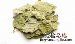 桑叶茶的功效与禁忌 桑叶茶有什么功效与禁忌