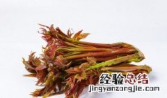 香椿芽的功效与作用 香椿芽的功效与作用与做法