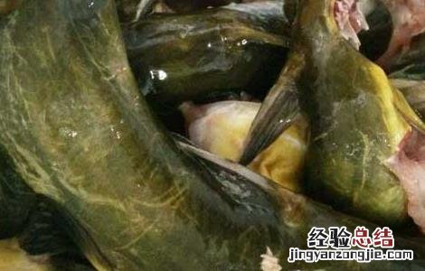 孕妇可以吃黄骨鱼吗语音回答 孕妇可以吃黄骨鱼吗