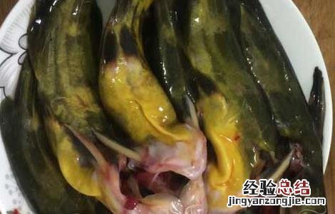 孕妇可以吃黄骨鱼吗语音回答 孕妇可以吃黄骨鱼吗