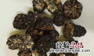 诺丽果的十大功效 诺丽果的十大功效是什么