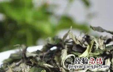 贡眉白茶的功效与作用 寿眉白茶的功效与作用