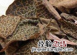 金线莲的功效与作用有哪些 金线莲的功效与作用,快来了解吧