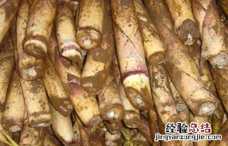 竹笋是不是发物 竹笋是不是发物,有病的人能吃吗?