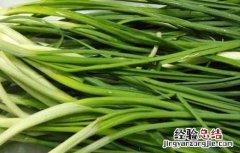 野葱的食用禁忌 野葱哪些人不能吃