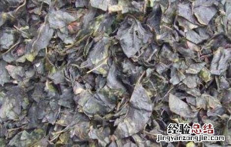 哪些人不能喝苦丁茶 哪些人不能喝苦丁茶呢