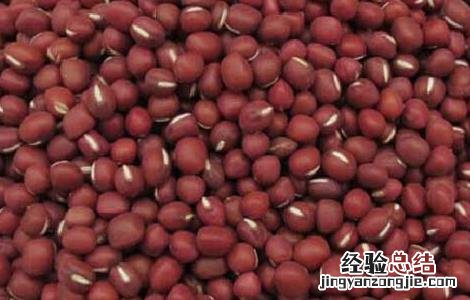 孕妇可以吃赤小豆吗 孕妇可以吃赤小豆吗早期