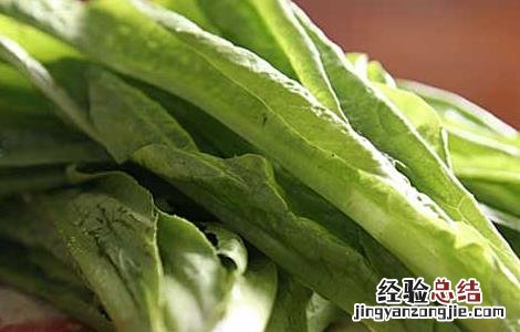 油麦菜不能和什么一起吃 油麦菜不能和什么一起吃香哈菜谱