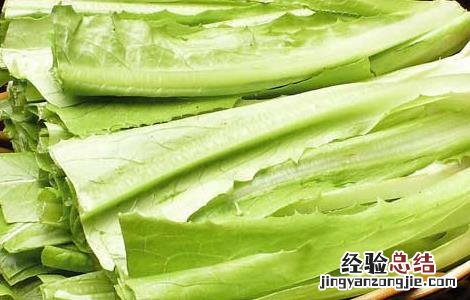 油麦菜不能和什么一起吃 油麦菜不能和什么一起吃香哈菜谱