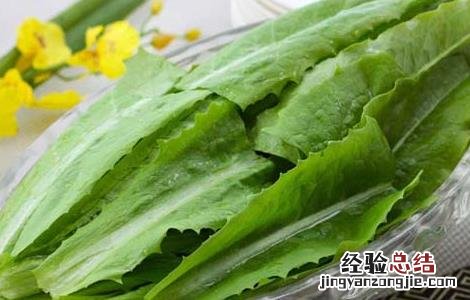 油麦菜不能和什么一起吃 油麦菜不能和什么一起吃香哈菜谱
