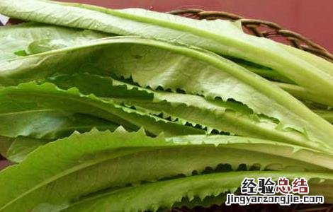 孕妇可以吃油麦菜吗 孕妇可以吃油麦菜吗孕早期