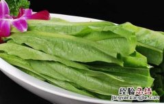 孕妇可以吃油麦菜吗 孕妇可以吃油麦菜吗孕早期