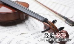 violin是什么意思 violin是什么意思英语怎么读