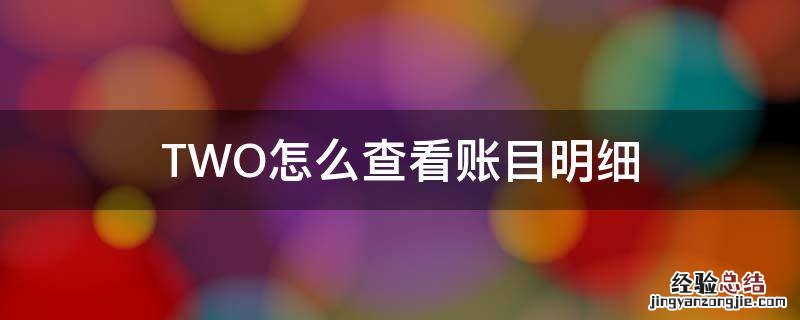 TWO怎么查看账目明细 怎么看明细账的余额