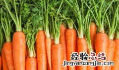 胡萝卜的英语怎么说