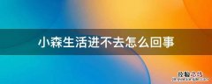 小森生活进不去怎么回事 小森生活玩不了了