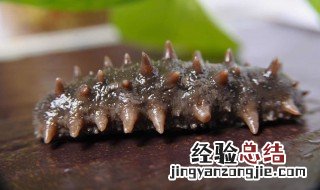 吃海参的好处 看完你就知道了