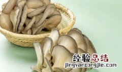过夜的生蘑菇第二天可以吃吗 过夜的蘑菇第二天可以吃吗