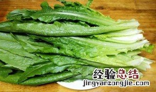 吃油麦菜菜有什么好处 女人吃油麦菜的好处