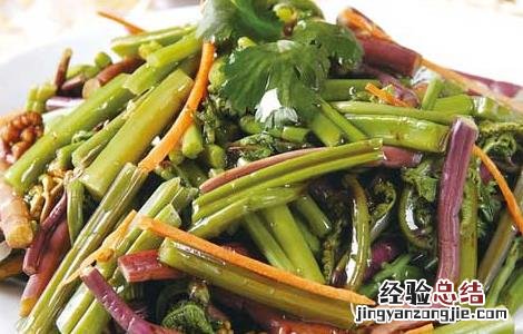 孕妇可以吃蕨菜吗早期 孕妇可以吃蕨菜吗