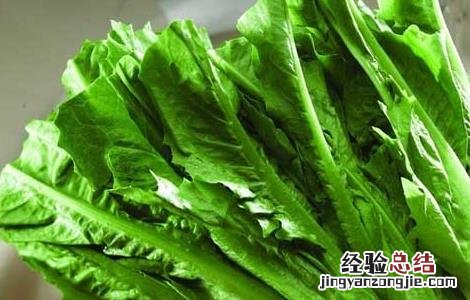 油麦菜可以生吃吗蘸酱 油麦菜可以生吃吗