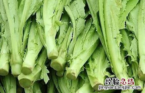 油麦菜可以生吃吗蘸酱 油麦菜可以生吃吗