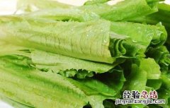 经常吃油麦菜会致癌吗 吃油麦菜会致癌吗
