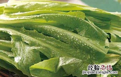 经常吃油麦菜会致癌吗 吃油麦菜会致癌吗