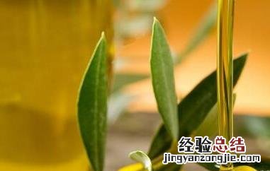 油橄榄果油的功效与作用 油橄榄果油的药用价值