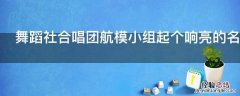 舞蹈社合唱团航模小组起个响亮的名字