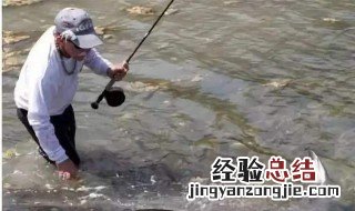 浮漂调目饵料钩重关系 钩重和浮漂调目的关系