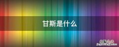 甘斯是什么 甘斯到底是什么