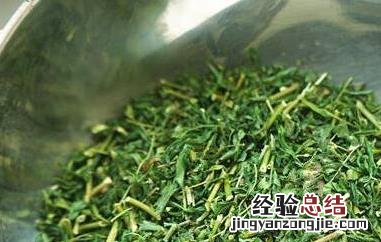 相思茶的功效与作用图片 相思茶的功效与作用