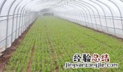 物联网与农业灌溉结合的原理 基于物联网的智能灌溉系统设计