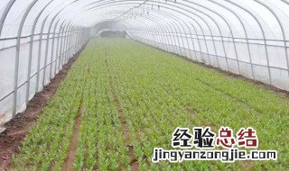 物联网与农业灌溉结合的原理 基于物联网的智能灌溉系统设计