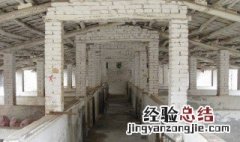 全地下养猪如何采光 全地下养猪如何采光最好