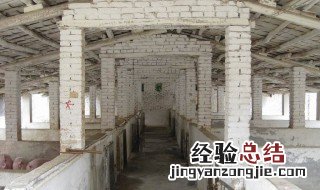 全地下养猪如何采光 全地下养猪如何采光最好