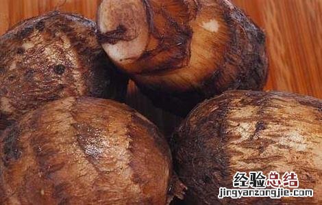 芋头发芽了能吃吗 芋头发芽了能吃吗的短视频