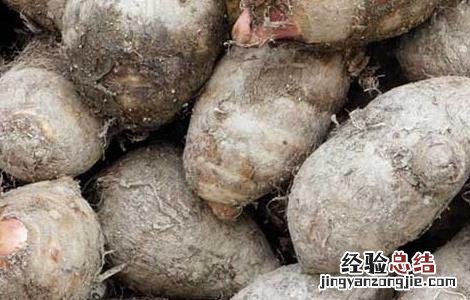 芋头发芽了能吃吗 芋头发芽了能吃吗的短视频