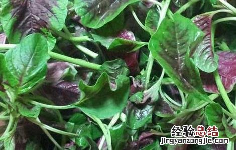 苋菜孕妇能吃吗 苋菜孕妇能吃吗是不是滑胎的