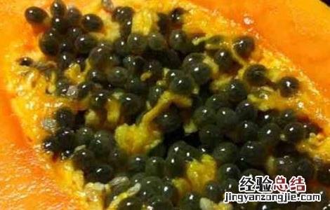 木瓜籽能不能吃 木瓜籽能不能吃?