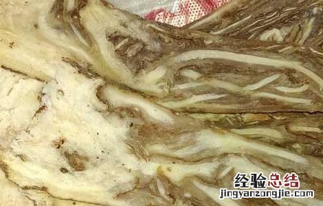 孕妇可以吃当归吗 孕妇可以吃当归炖汤吗