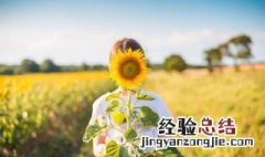 同声相求的意思
