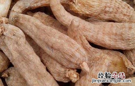 鸽子炖天麻什么人不能吃 天麻什么人不能吃