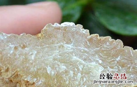 鸽子炖天麻什么人不能吃 天麻什么人不能吃