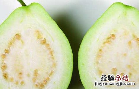 孕妇可以吃番石榴吗中期 孕妇可以吃番石榴吗